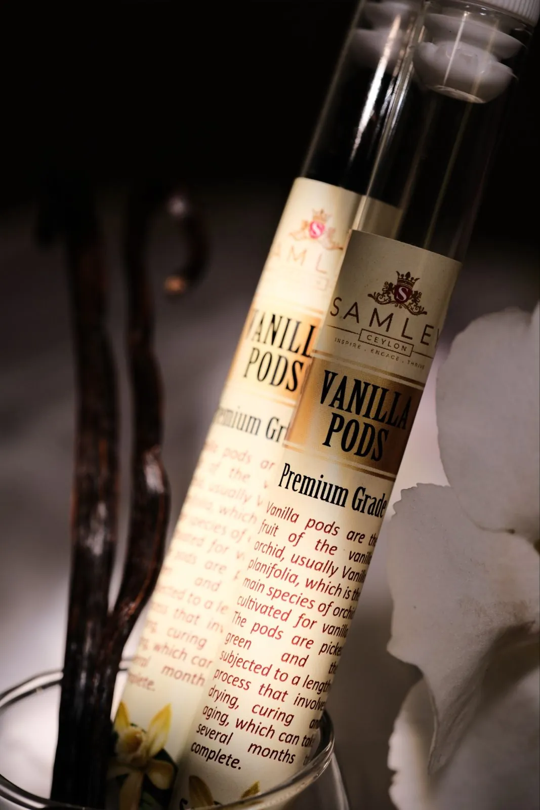 Vanilla Beans in a Tube 6g