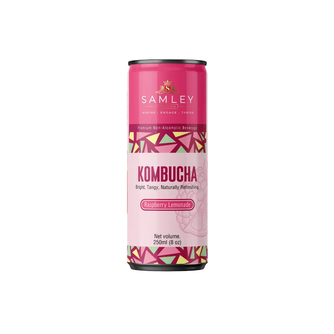 Kombucha (Raspberry Lemonade) 250ml