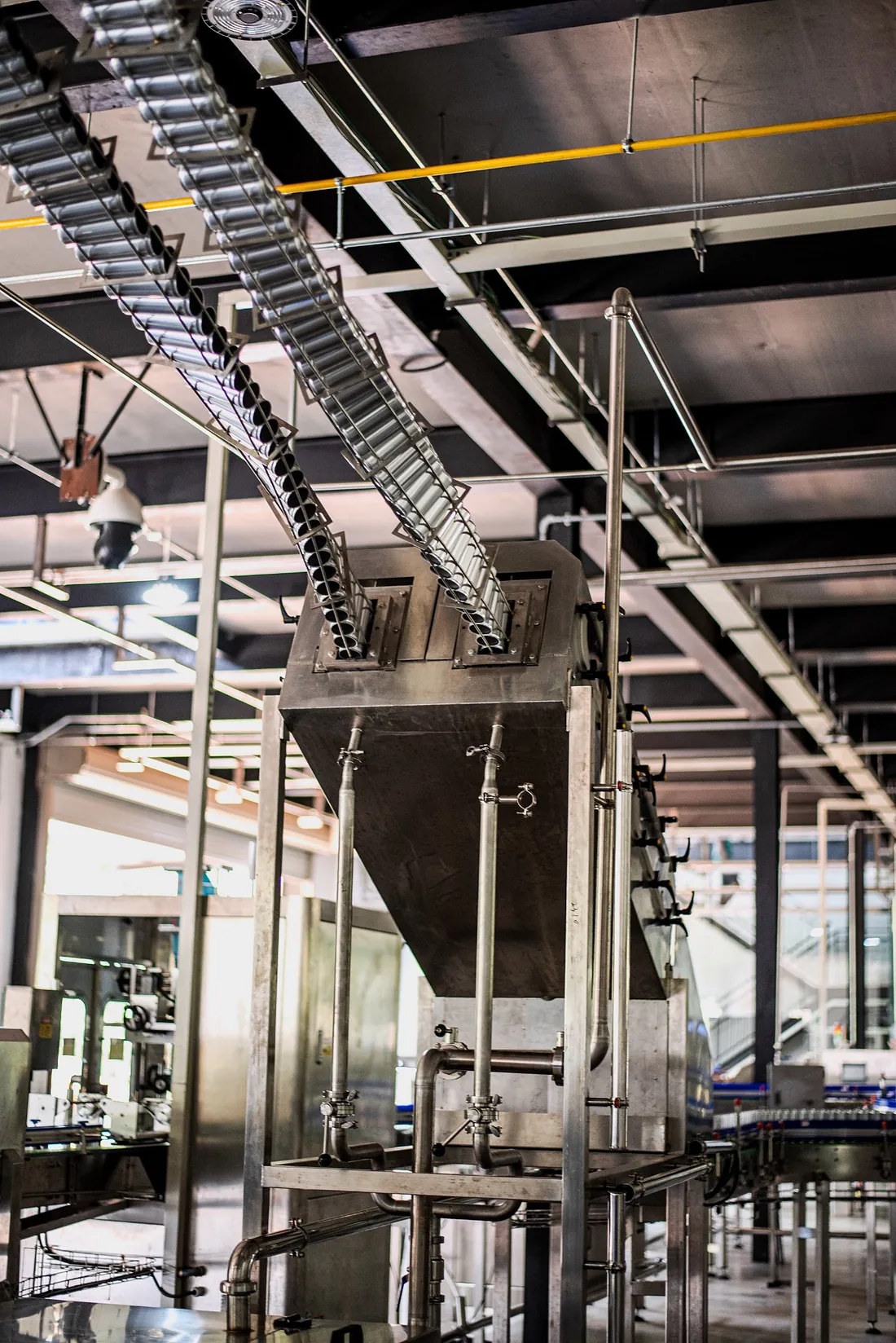 Cans travelling along a curved conveyor on the canning line